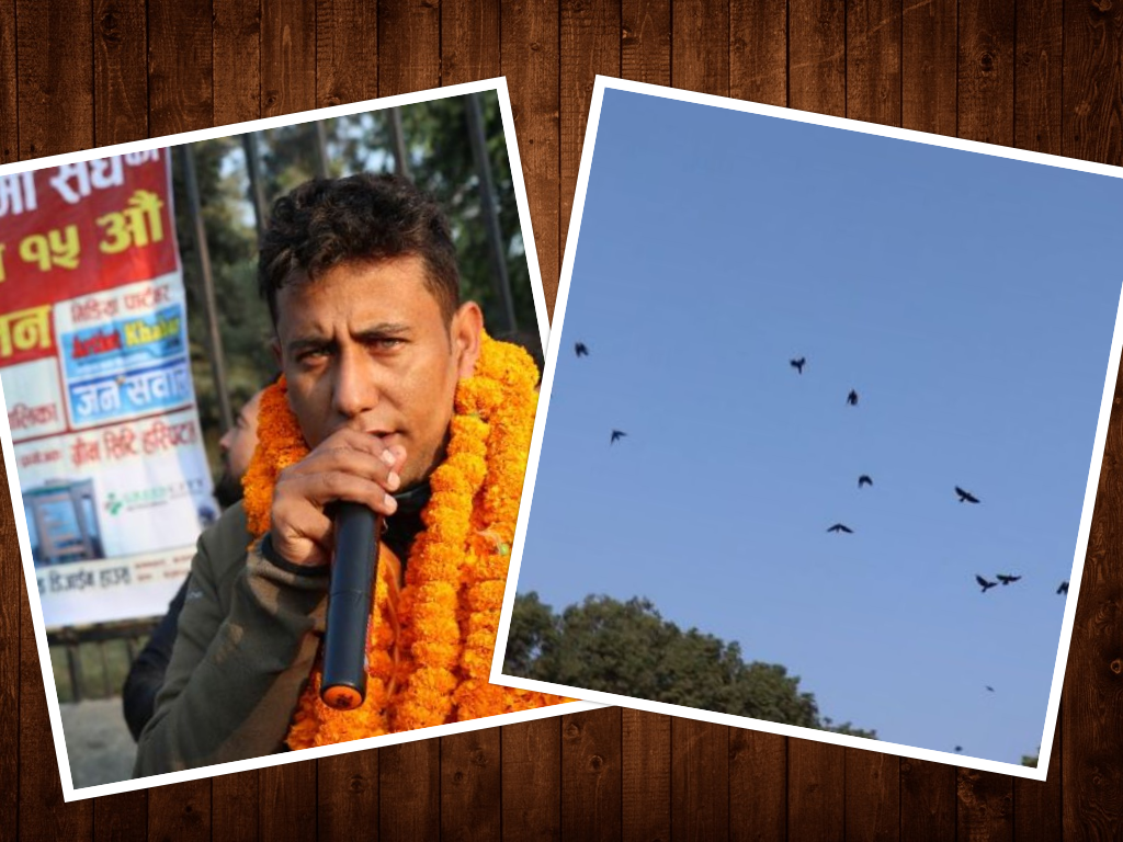 रमेश दुलालको 'काग सम्मेलन', रत्नपार्कमा जम्मा भए ५०० काग